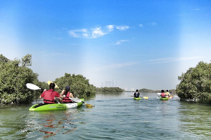 Mangrove Kayaking - Image 1