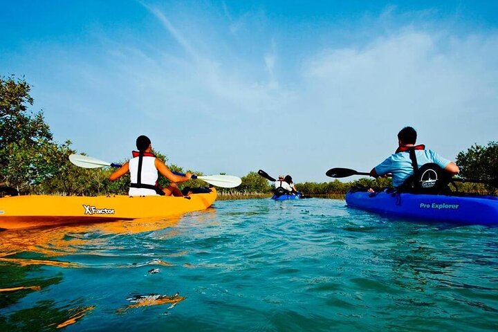 Mangrove Kayaking - Image 3