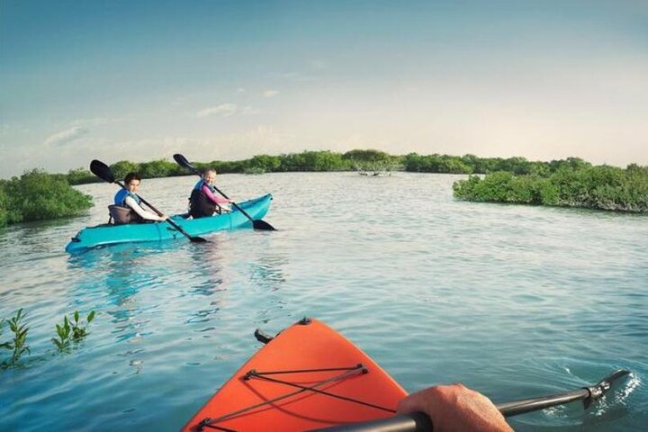 Mangrove Kayaking - Image 2
