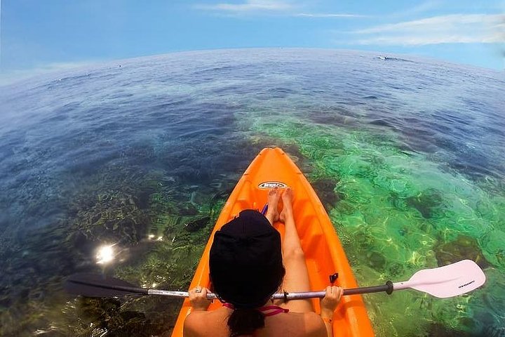 Mangroves Kayaking with Pickup & Drop Off - Image 4