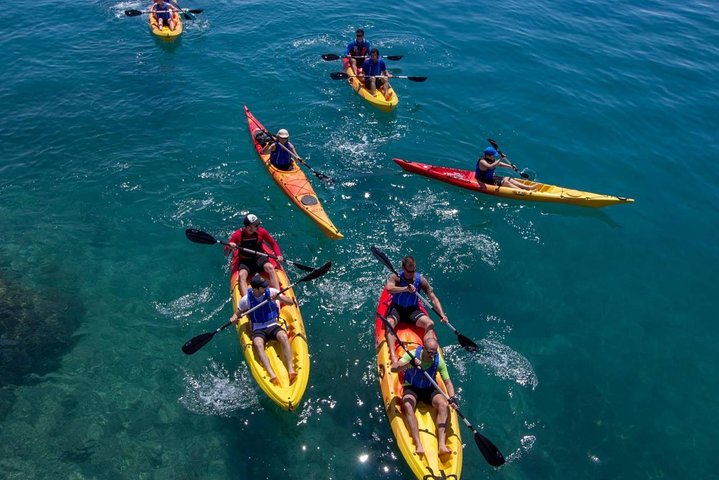Mangroves Kayaking with Pickup & Drop Off - Image 3
