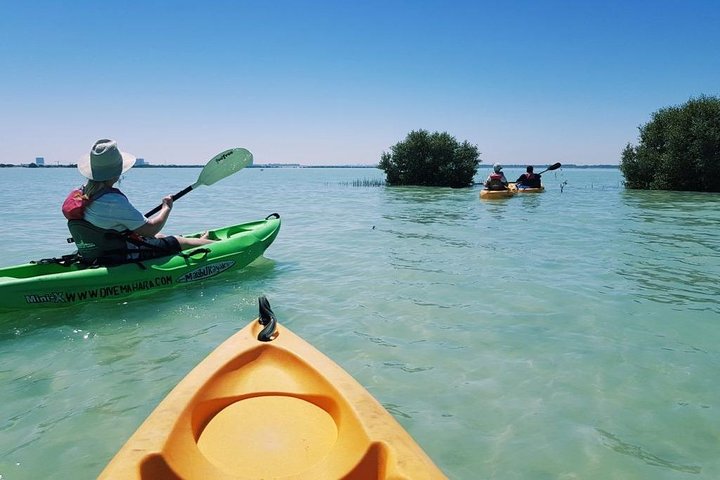 Mangroves Kayaking with Pickup & Drop Off - Image 5