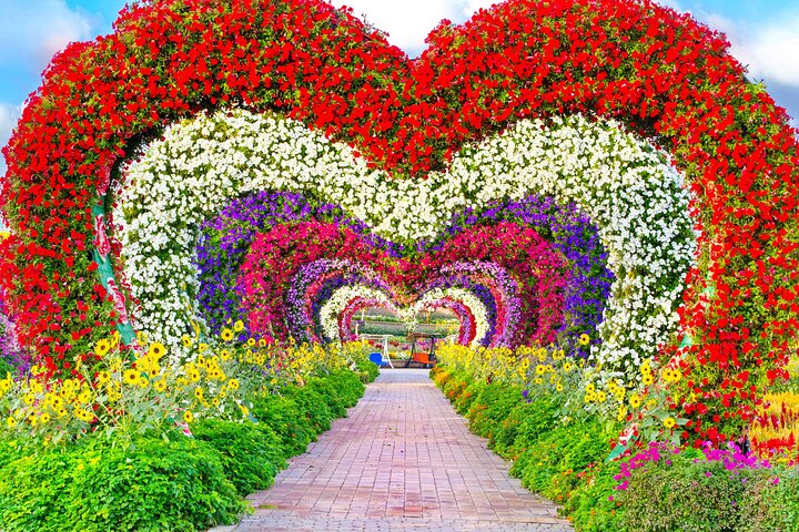 Miracle Garden Dubai Tour from Abu Dhabi with Private Transfers - Image 1