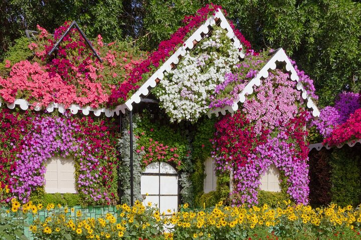 Miracle Garden Dubai Tour with Pickup And Drop off From Abu Dhabi - Image 3