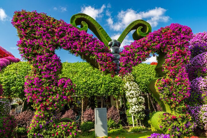 Miracle Garden Dubai Tour with Pickup And Drop off From Abu Dhabi - Image 4