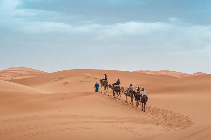 Morning Desert Safari From Abu Dhabi -Camel Ride,Sand Boarding,Camel Farm Visit - Image 5