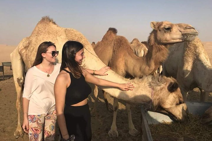 Morning Desert Safari with Camel Ride & Sand Skiing Private Tours - Image 3
