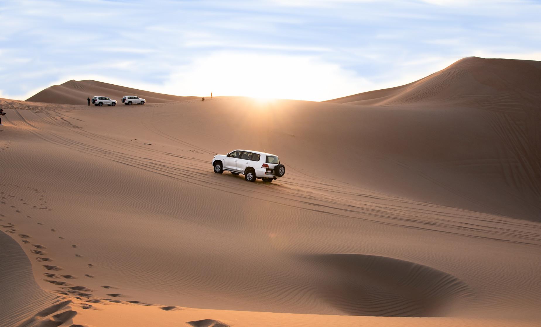 Morning Safari Adventure - Image 1