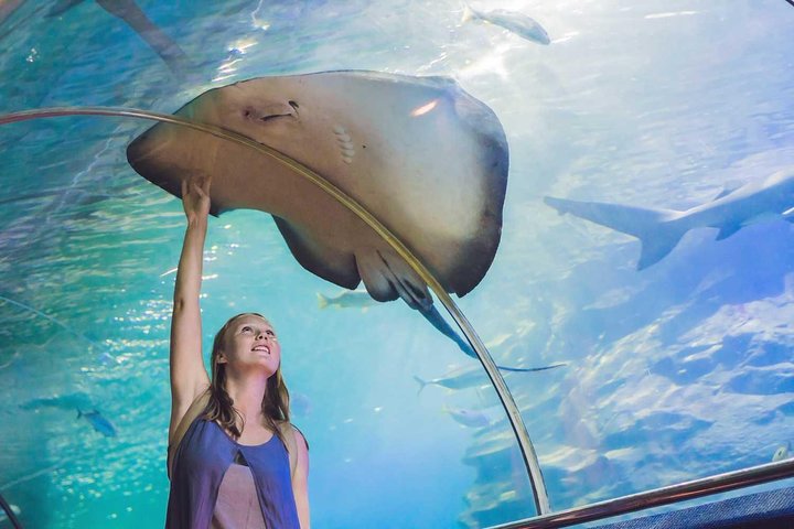 Private Dubai Tour from Abu Dhabi: Burj Khalifa & Aquarium | MyHolidaysAdventures - Image 1