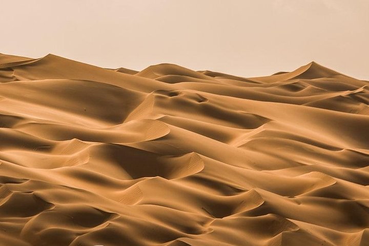 Private Liwa Full Day Desert Safari Tour with Lunch From Abu Dhabi - Image 1