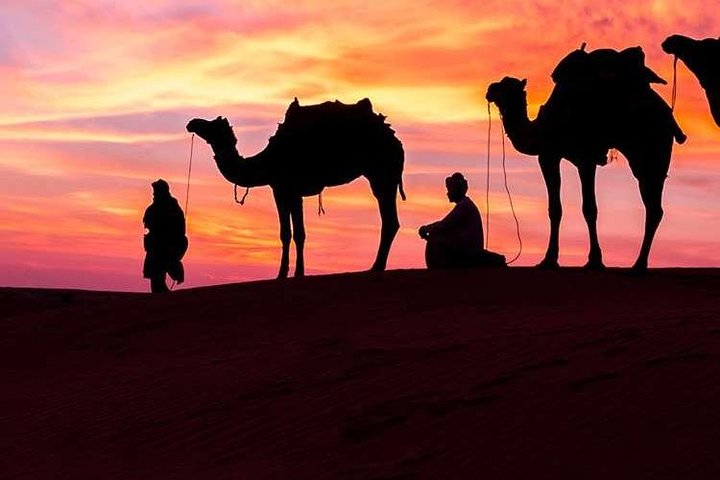 Private Morning Desert Safari - Image 4