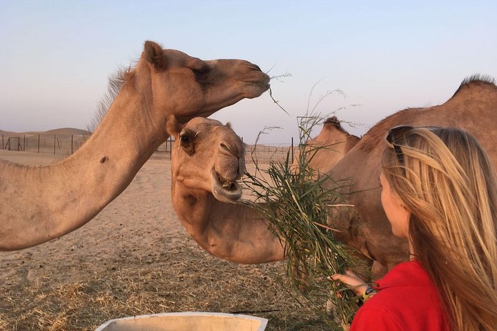 Private Morning Desert Safari - Image 2