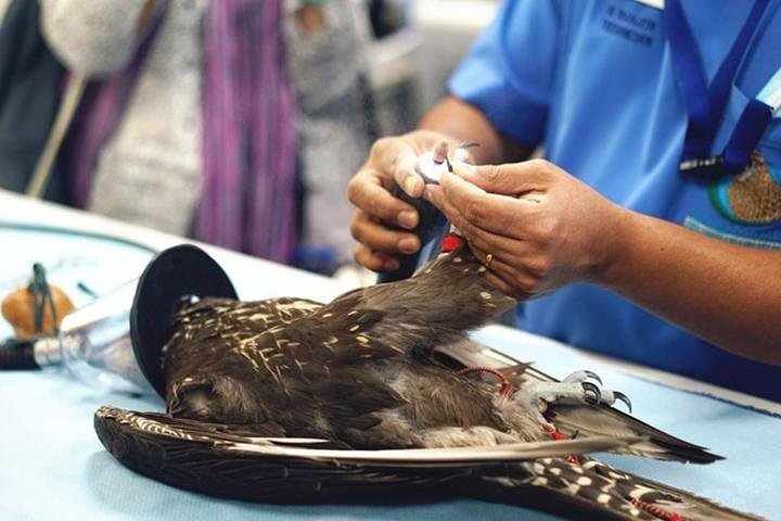 Private One-day Abu Dhabi Highlight Tour, End in Dubai With Lunch - Image 1