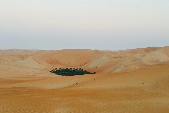 Private Overnight Camping in Liwa with BBQ Dinner & Breakfast - Image 2