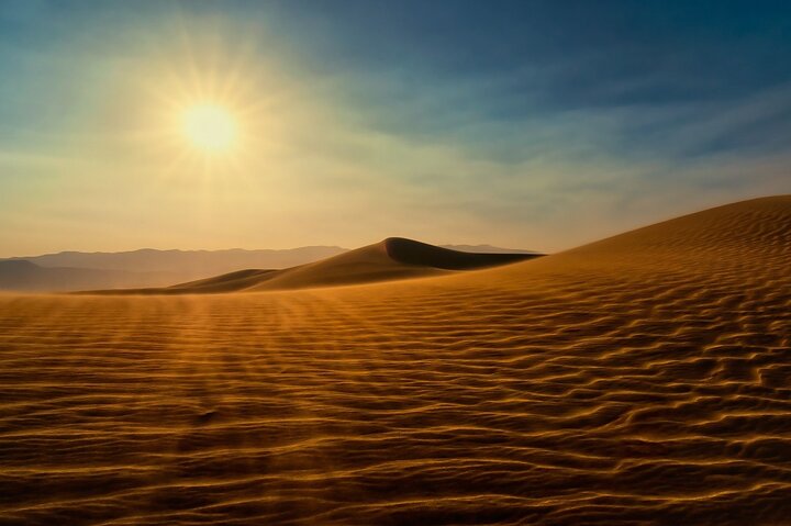 Private Sunrise Desert Safari Abu Dhabi - Image 3