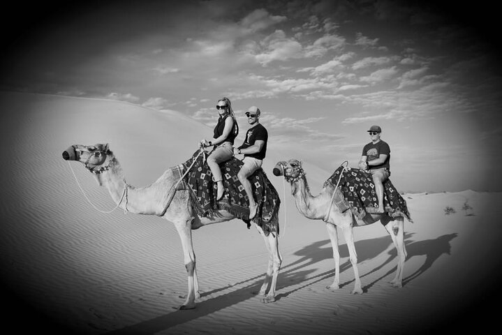 Safari Half-Day Adventure from Abu Dhabi - Image 3