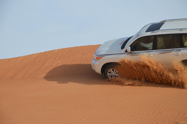 Safari Half-Day Adventure from Abu Dhabi - Image 2