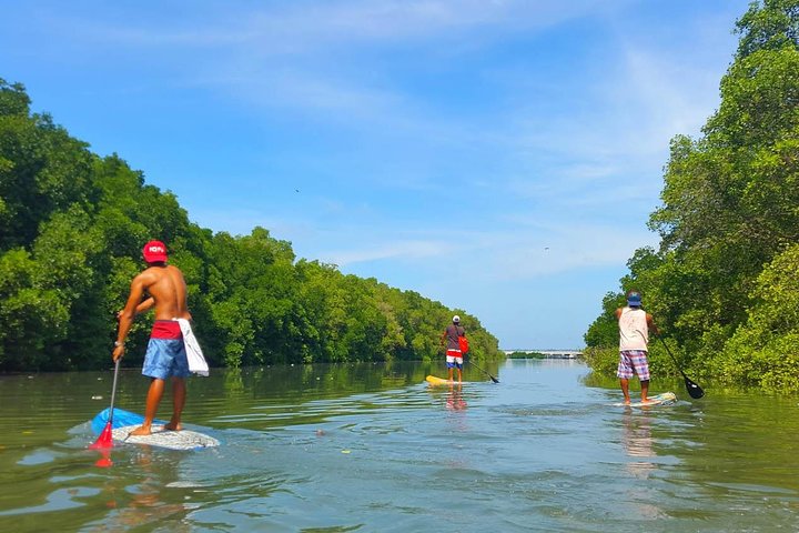 Stand Up Paddle Boarding with Pickup & Drop Off - Image 1
