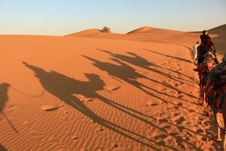 Sunrise Desert Safari - Image 3