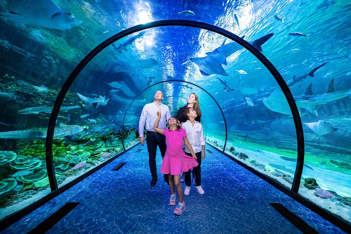 The National Aquarium Abu Dhabi Ticket - Image 1