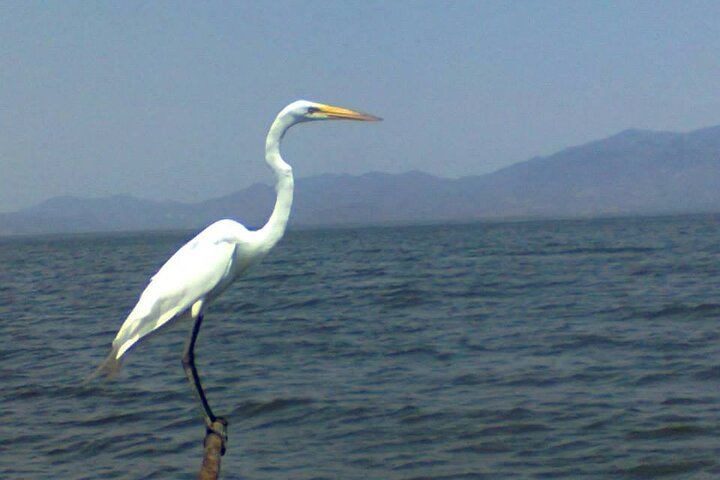 Acapulco Shore Excursion: Coyuca Lagoon Cruise - Image 4