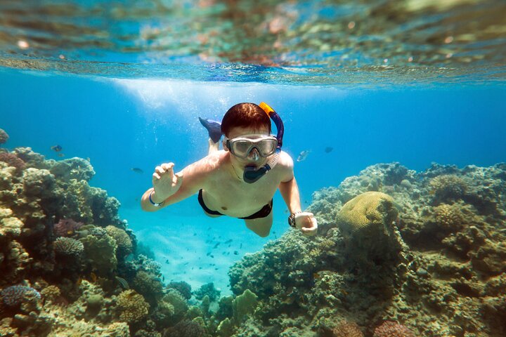 Acapulco Snorkeling Tour - Image 3
