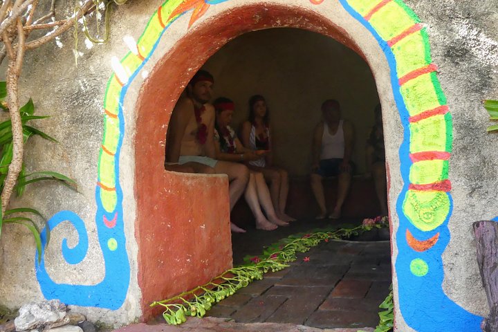 Aztec Temazcal Experience & Jungle Coyuca Lagoon &Turtle Release  - Image 3