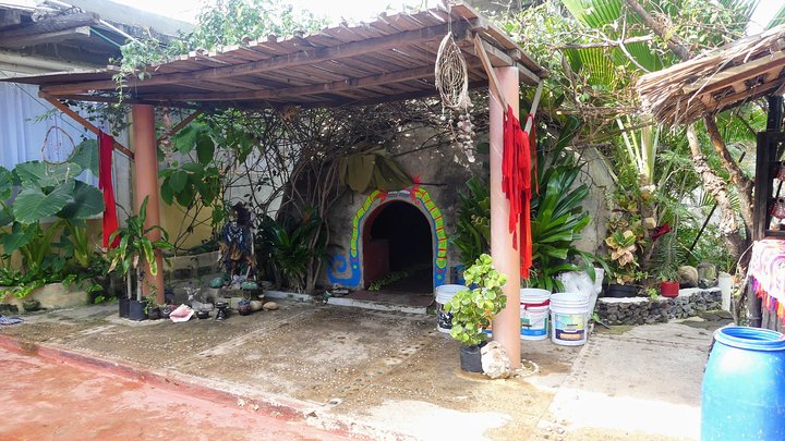 Aztec Temazcal Experience & Jungle Coyuca Lagoon &Turtle Release  - Image 2