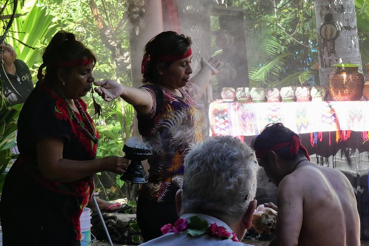 Aztec Temazcal Experience & Jungle Coyuca Lagoon &Turtle Release  - Image 5