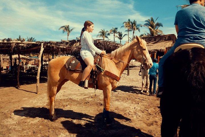Baby Turtle Release And Horse Back Riding Tour - Image 5