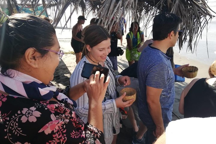 Baby Turtle Release And Horse Back Riding Tour - Image 4