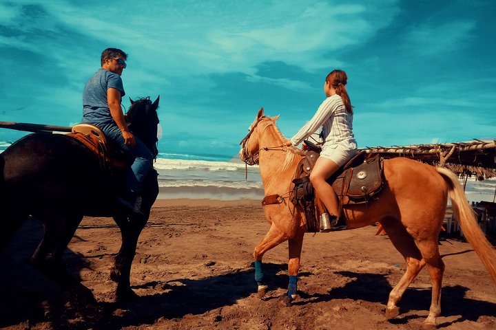 Baby Turtle Release And Horse Back Riding Tour - Image 2