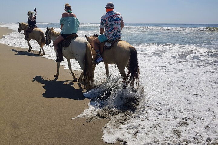 Boat Ride-Gentle Beach Beach Horseback Ride+Lunch-Crocs-Turtles - Image 1