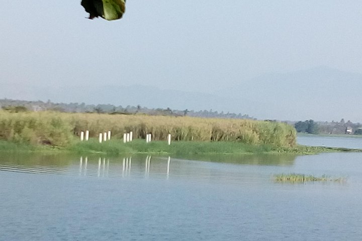 Coyuca Lagoon Adventure - Image 4