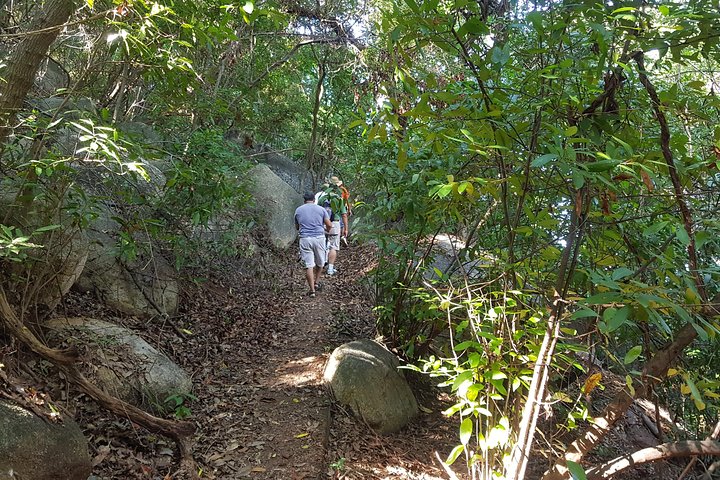 Half Day Tour Hiking La Roqueta Island and Lunch - Image 1