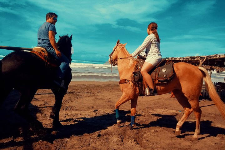 Horse Back Riding And Baby Turtle Camp Visit - Image 1