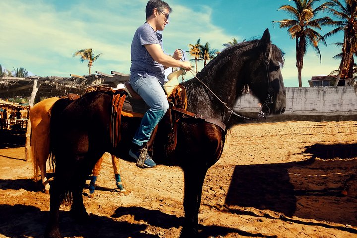 Horse Back Riding And Baby Turtle Camp Visit - Image 2