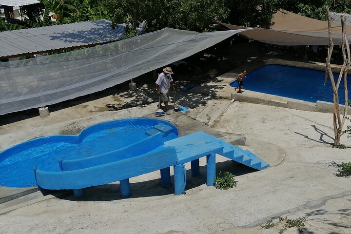  Hot Springs Water Visiting Dos Arroyos Guerrero. - Image 3
