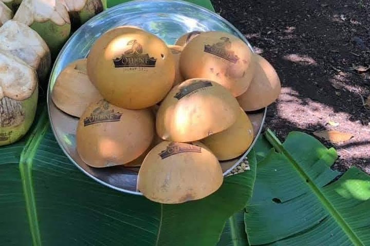 1 Day cocoa farm tour - Image 2