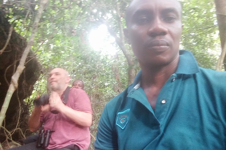 Bird watching tours , cultural and historical tours of Ghana. - Image 4