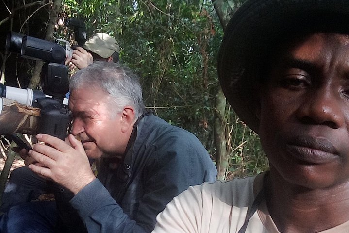 Bird watching tours , cultural and historical tours of Ghana. - Image 2