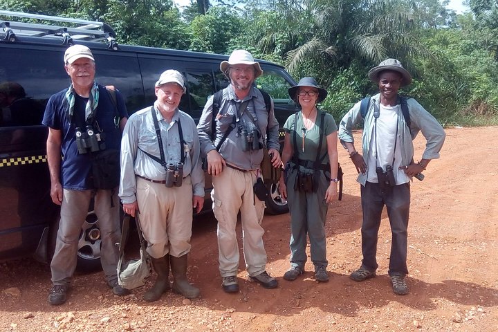 Bird watching tours , cultural and historical tours of Ghana. - Image 1
