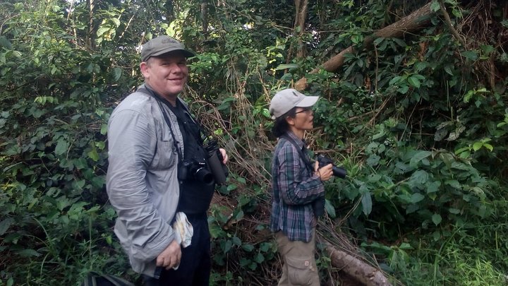 Bird watching tours , cultural and historical tours of Ghana. - Image 5
