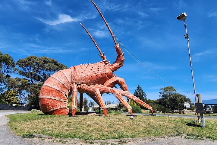 2 Day Tour. Adelaide to Mt Gambier and Return - Image 2