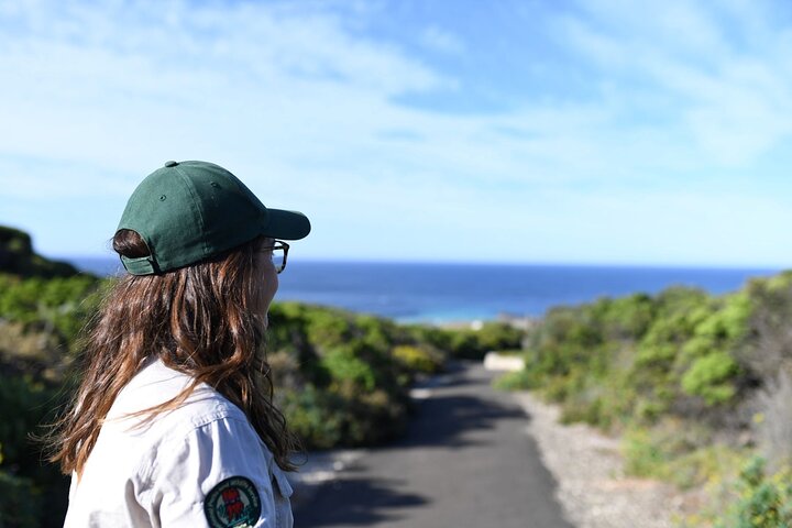 3-Day Kangaroo Island Adventure Tour - Image 4
