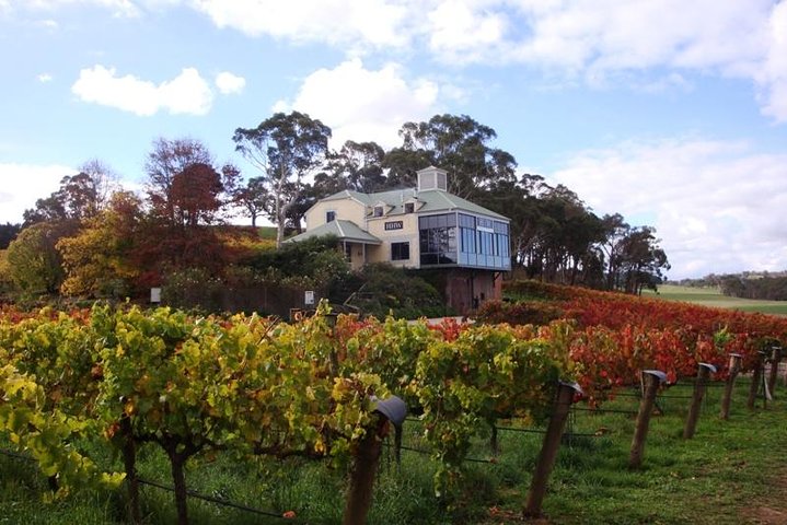Adelaide Hills Day Tour. Winery Cellar Doors - Image 2