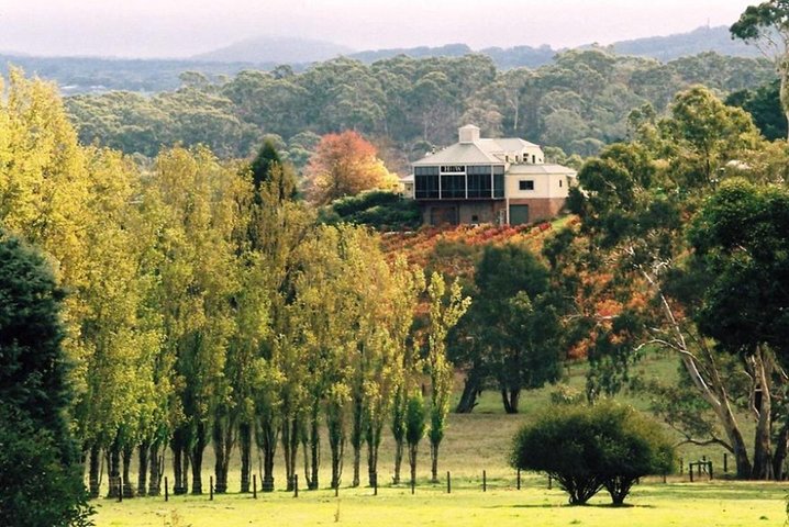 Adelaide Hills Full Day Winery Tour with Tastings - Image 5