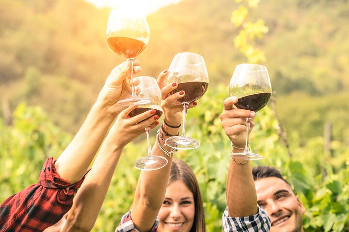 Barossa and Hahndorf Wine Tasting and Sightseeing Tour - Image 1