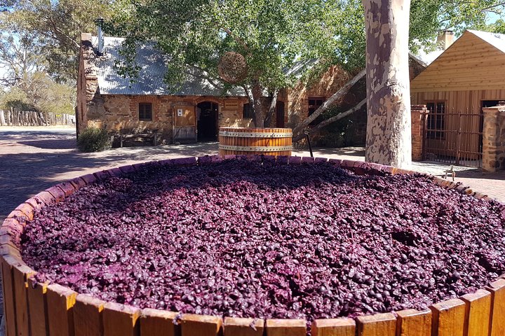 Barossa Valley Private Day Tour - Image 2