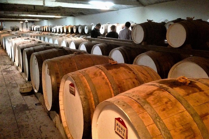 Barossa Valley Private Day Tour - Image 3